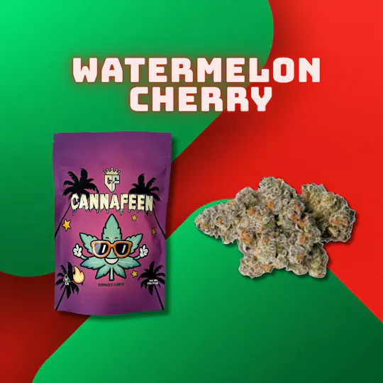 Cannafeen - Cannafeen | Watermelon Cherry | Big Buds | 28g - 1