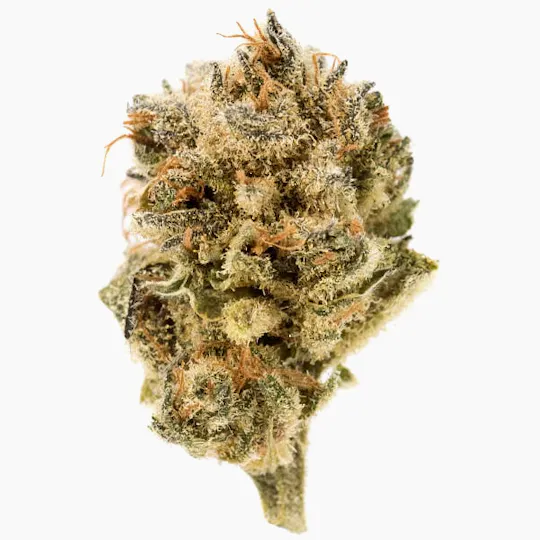 Hortus - Jokers Juice - 1