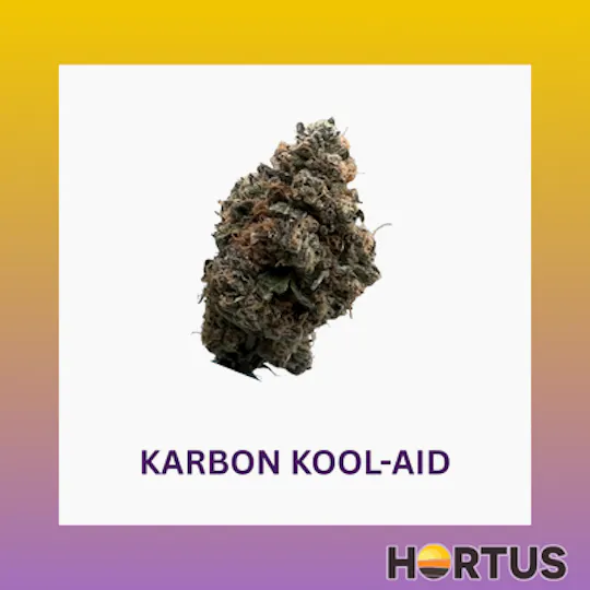 Hortus - Karbon Kool Aid - 1