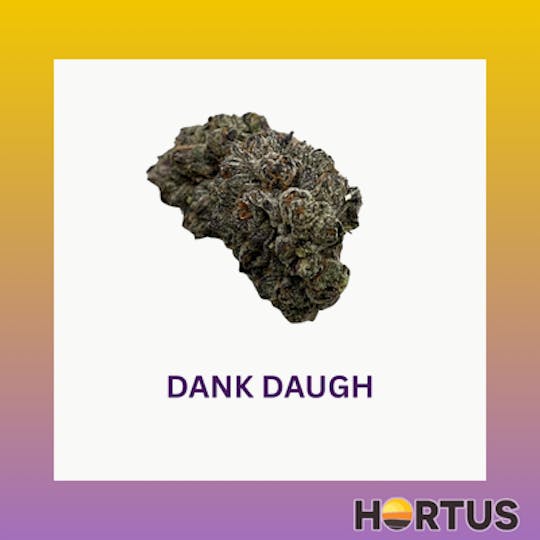 Hortus - Dank Dough - 1