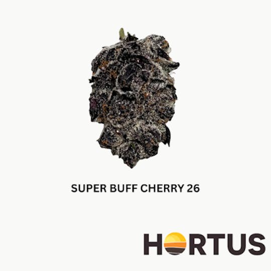 Hortus - Super Buff Cherry - 1