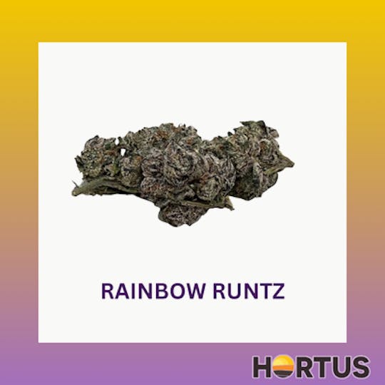 Hortus - Rainbow Runtz - 1
