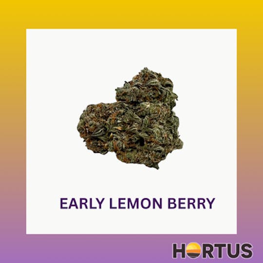 Hortus - Early Lemon Berry - 1