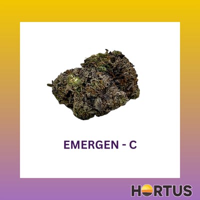 Hortus - Emergen C - 1