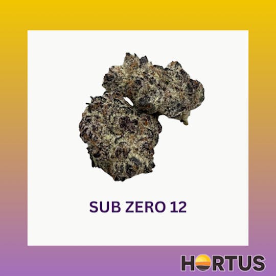 Hortus - Sub Zero 12 - 1