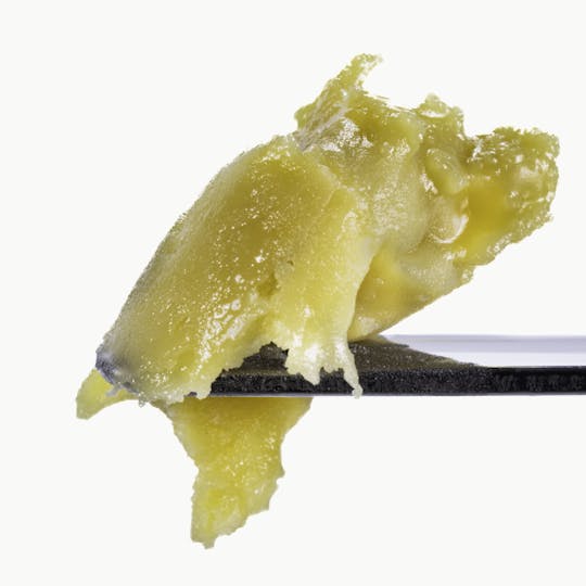 West Coast Cure - Gravity Apple - 1G Live Rosin Cold Cure Badder - Tier 3 - 1