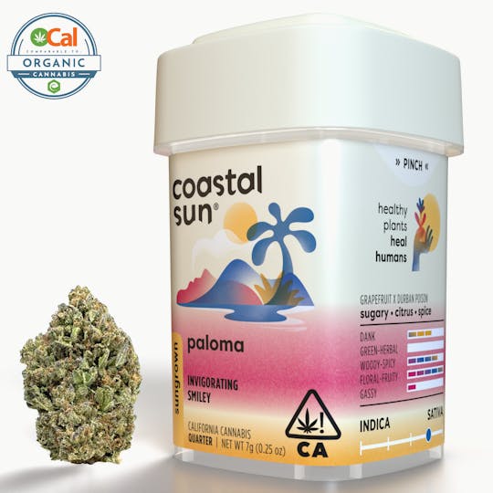 Coastal Sun - Paloma Sungrown Flower 7g - 1