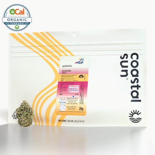 Coastal Sun - Paloma Sungrown Flower 28g - 1