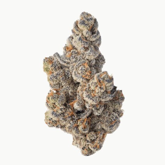 Brite Labs - BRITE Highland OCal Sun-Grown Flower (14g) - Hybrid - Glitter Bomb - 1