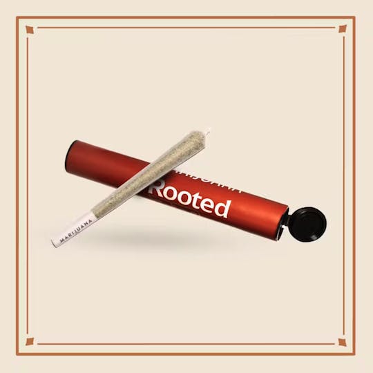 Rooted (MO) - Rooted | Party Cove | PR | 1g - 1