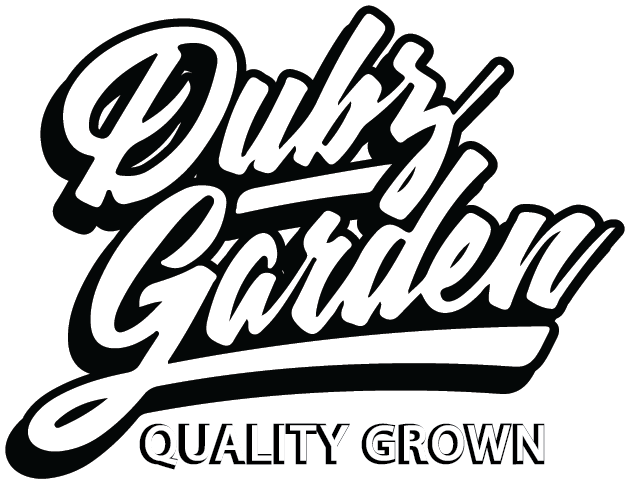 Dubz Garden - Zeclair Deluxe -Camo Edition 3.5g - 1