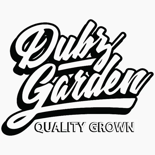Dubz Garden - Half Zipz- Frozen Airheads 14g - 1