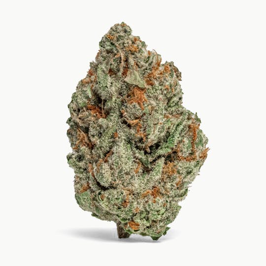 MR. ZIPS - MR. ZIPS | Mango Haze | Flower | 3.5g - 1