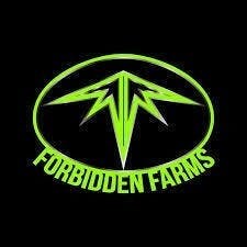 Forbidden Farms - God's Gift (I) Blazed Joint 1g - 1