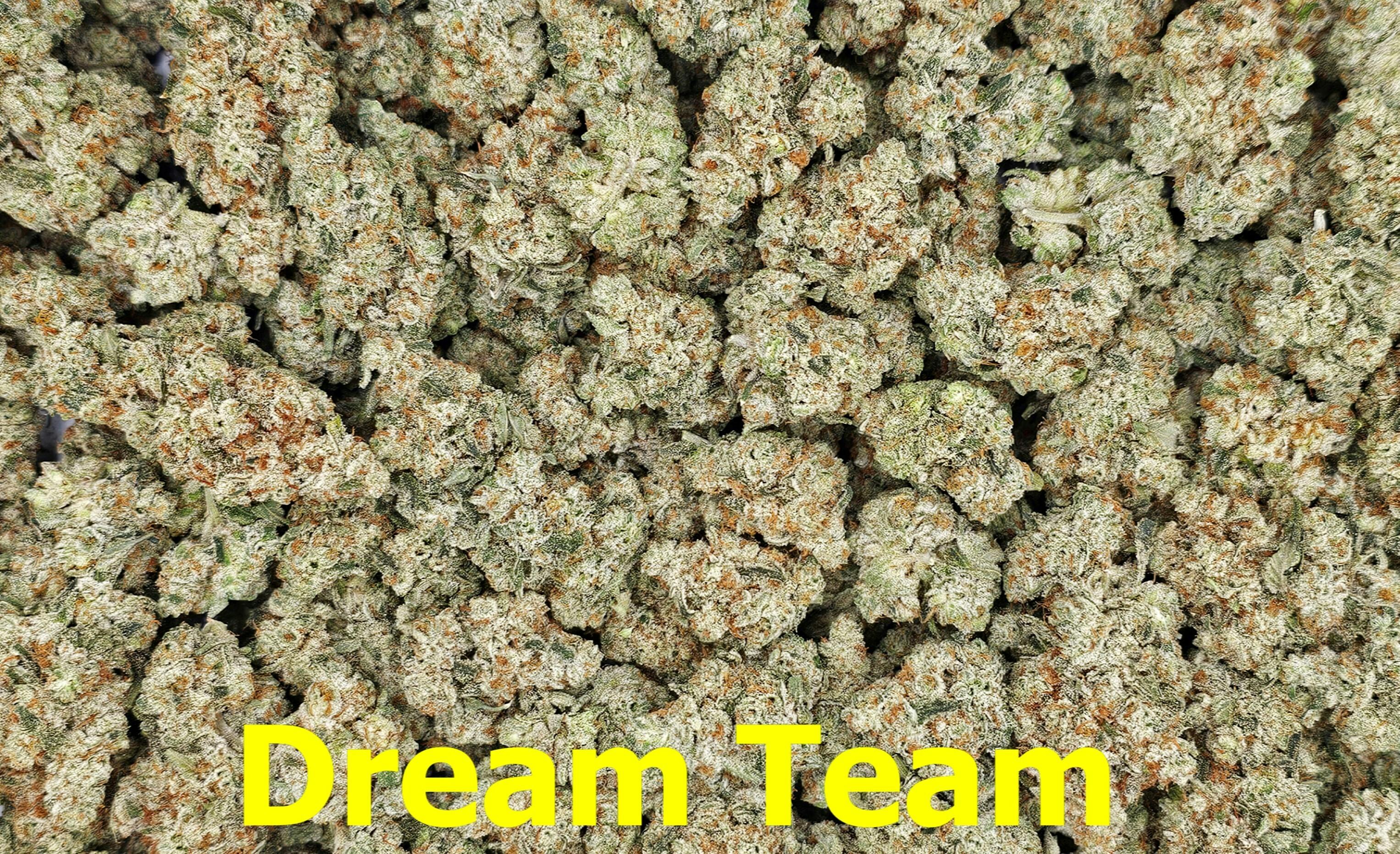 Scorpion Grass - Dream Team Flower - 1