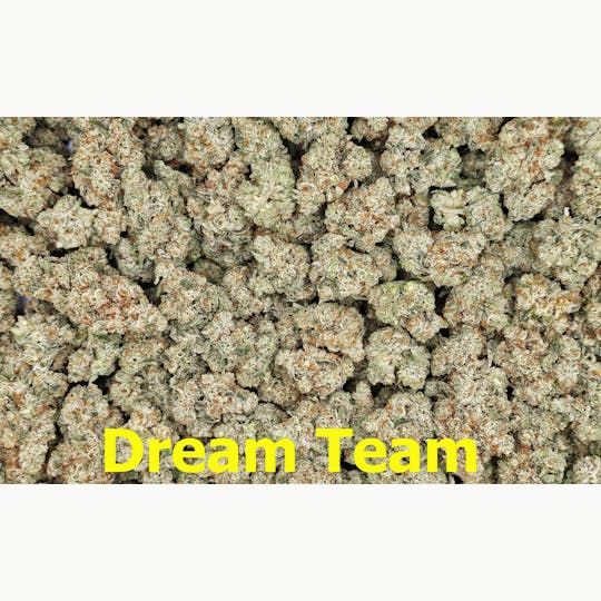 Scorpion Grass - Dream Team Flower - 1