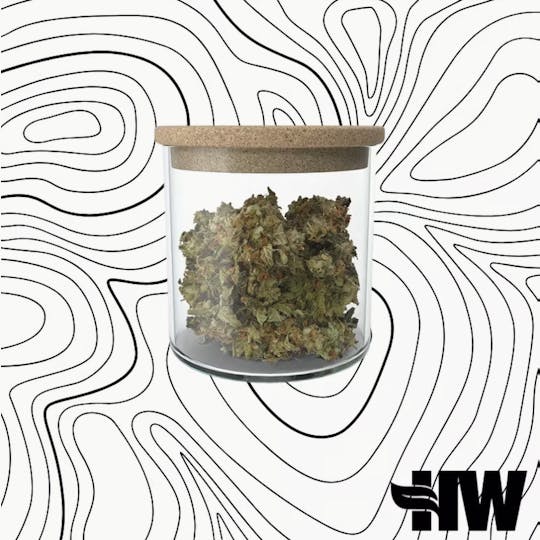 Health Weed - House Pick - Slazer Beam (HW) - 1