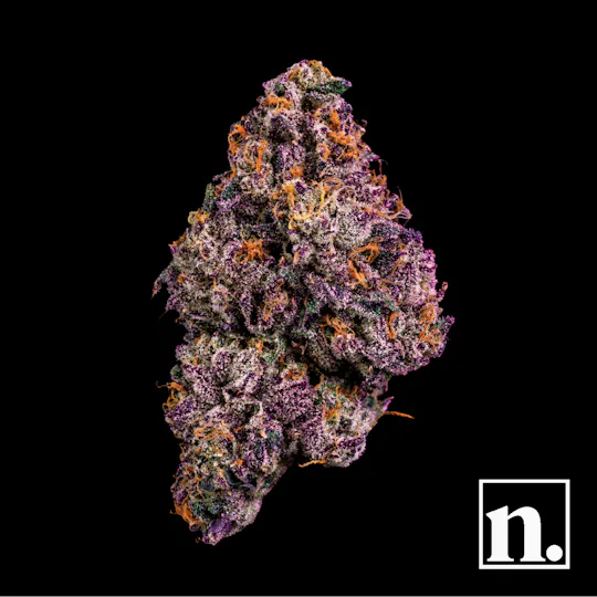 Niche - Pink Ink | 3.5g - 1