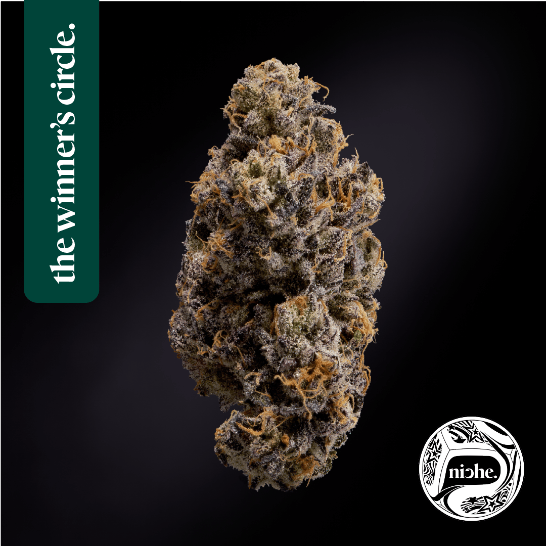 Niche - Pink Ink | 3.5g - 1