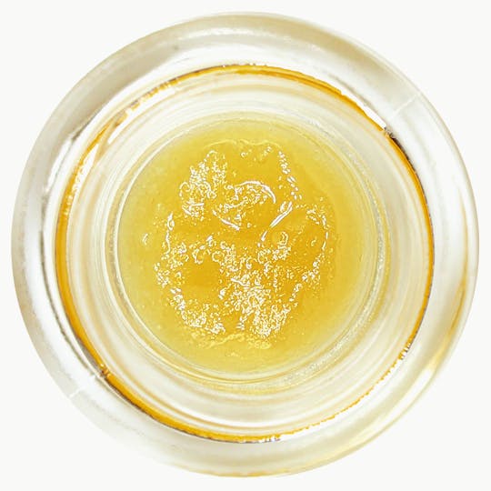 HIMALAYA - Honey Banana - Terp Sugar Concentrate - 1G - 1