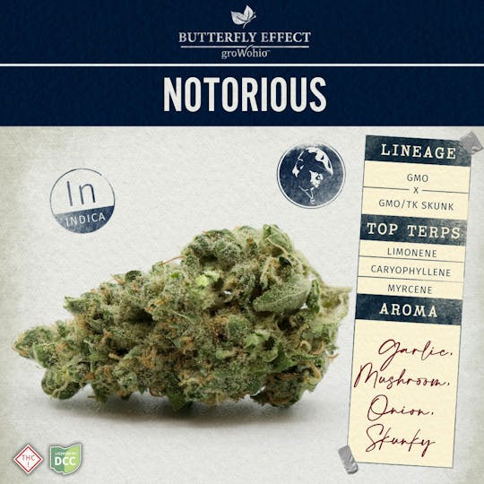 Butterfly Effect - Grow Ohio - Notorious - 2.83g Flower - 1