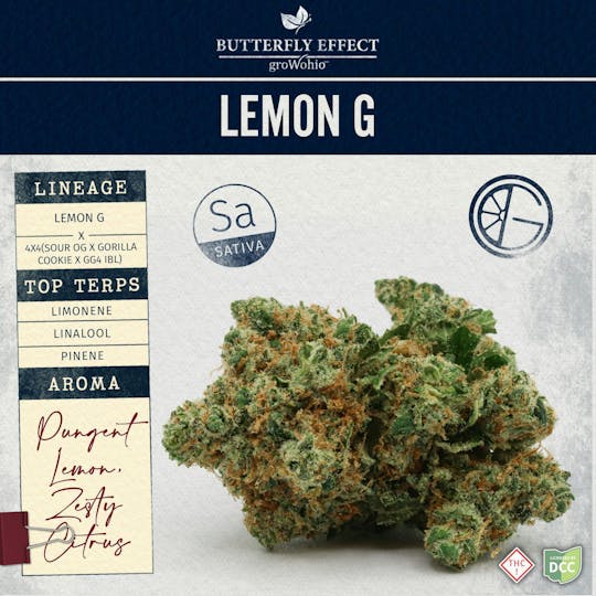 Butterfly Effect - Grow Ohio - Lemon G - 5.66g Flower - 1