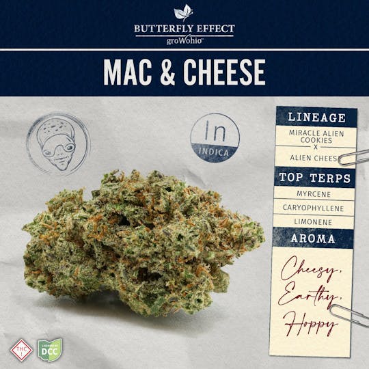 Butterfly Effect - Grow Ohio - Mac & Cheese - 14.15g Flower - 1