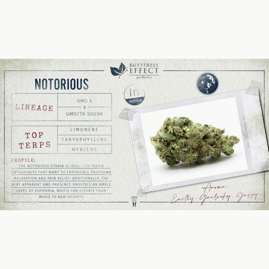 Butterfly Effect - Grow Ohio - Notorious - 14.15g Smalls - 1