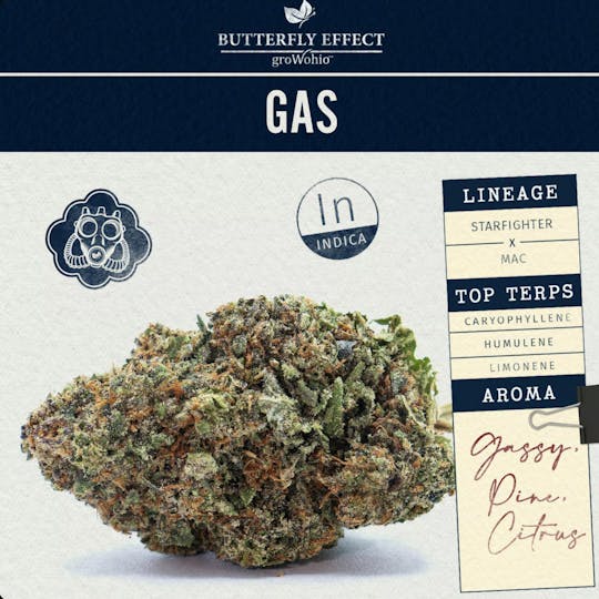 Butterfly Effect - Grow Ohio - Gas - 5.66g Flower - 1