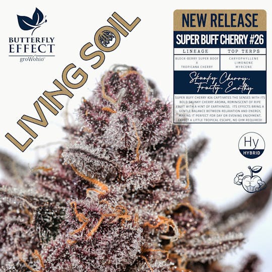 Butterfly Effect - Grow Ohio - Super Buff Cherry #26 - 2.83g Living Soil Flower - 1