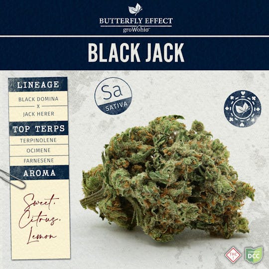 Butterfly Effect - Grow Ohio - Black Jack - 5.66g Flower - 1
