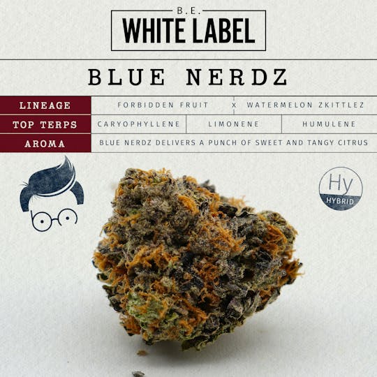 Butterfly Effect - Grow Ohio - Blue Nerdz - 2.83g Flower - 1