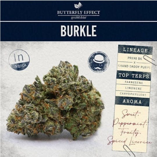 Butterfly Effect - Grow Ohio - Burkle - 5.66g Flower - 1