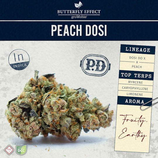 Butterfly Effect - Grow Ohio - Peach Dosi - 5.66g Flower - 1