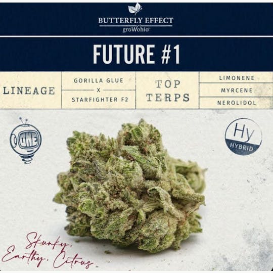 Butterfly Effect - Grow Ohio - Future #1 - 2.83g Flower - 1