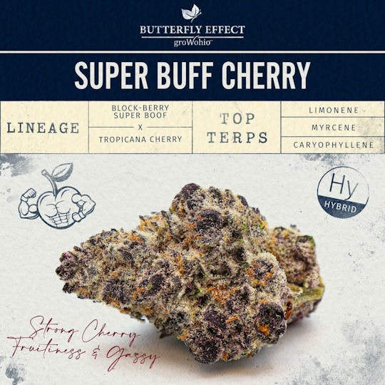 Butterfly Effect - Grow Ohio - Super Buff Cherry #26 - 28.3g Flower - 1