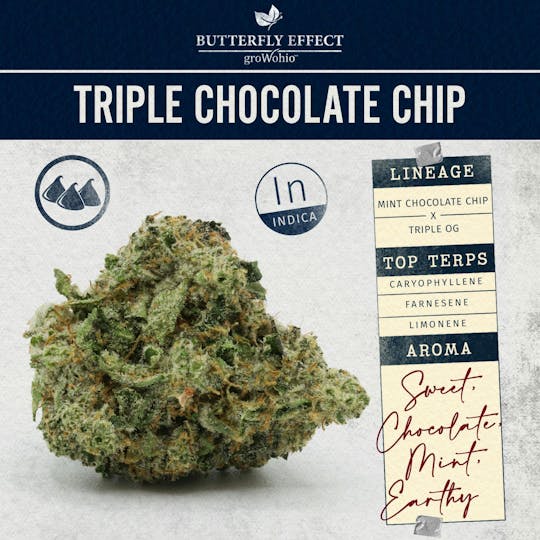 Butterfly Effect - Grow Ohio - Triple Chocolate Chip - 28.3g Flower - 1
