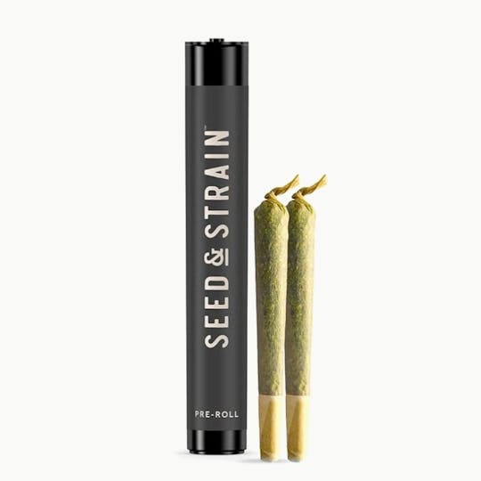 Seed & Strain - Seed & Strain - Sun Cake - Pre Roll Pack (0.5g ea.) 2pk - 1