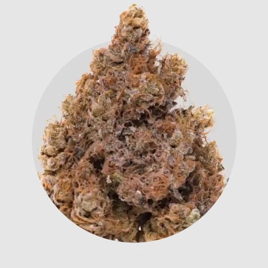 Medizin - Pop Rox | 7g - 1
