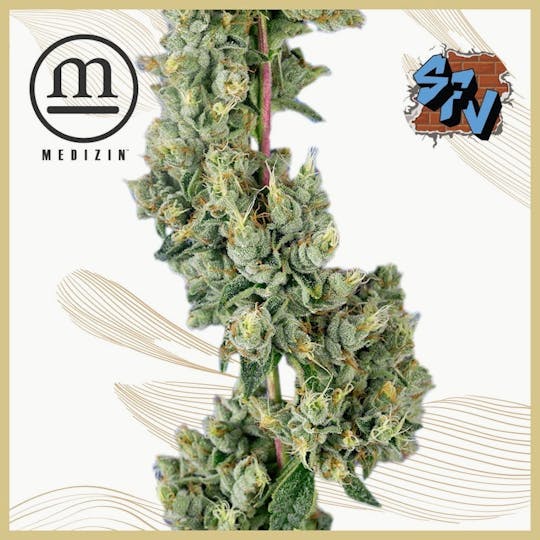 Medizin - SFV OG | 3.5g - 1