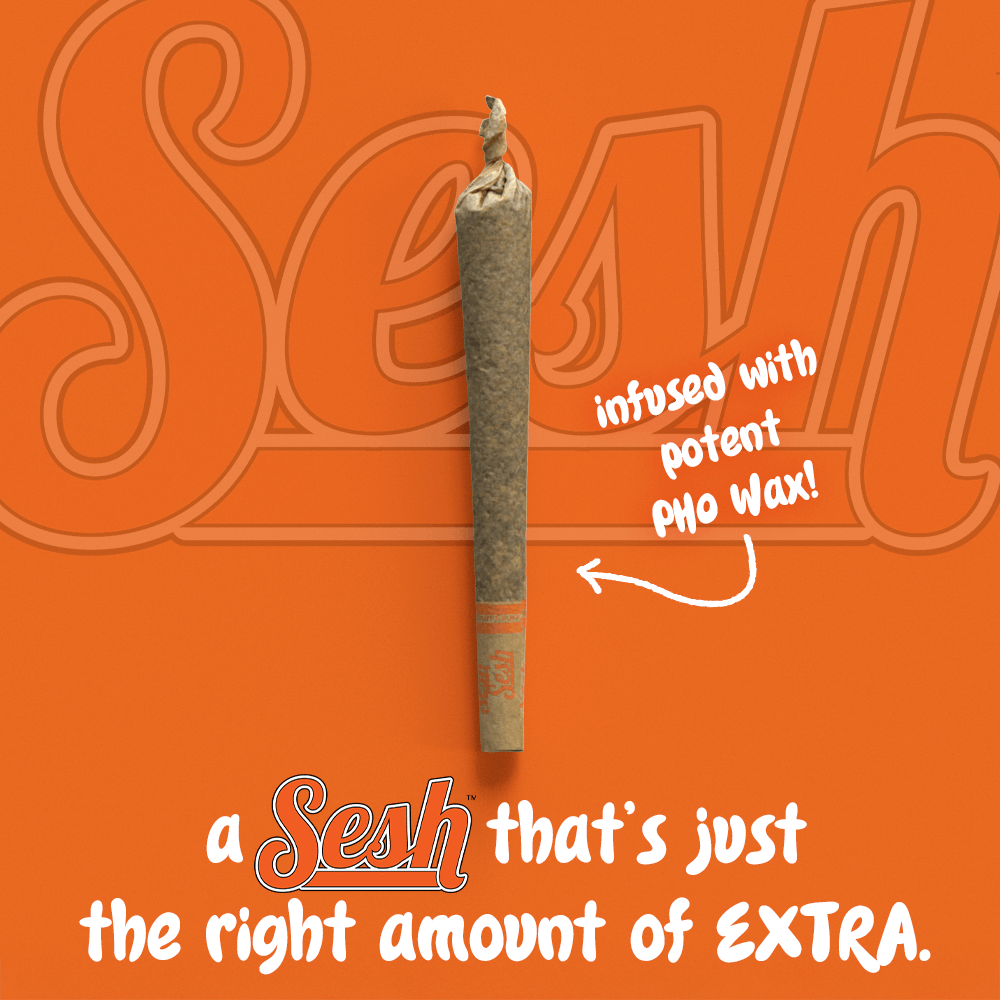 Craft Concentrates - Sesh Infused Cone - Champagne on Ice X Platinum Terple - 1