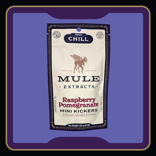Mule Extracts - 100mg 10-Piece Raspberry Pomegranate Mini Kickers - NJ - 1