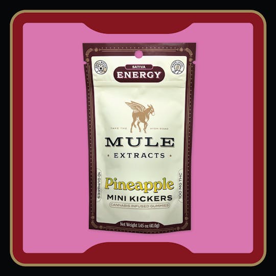 Mule Extracts - 100mg 10-Piece Pineapple Mini Kickers - NJ - 1