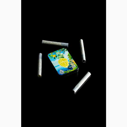 Seed Junky - Seed Junky | Lemon Fruz | Joints | 1g each | 4pk - 1
