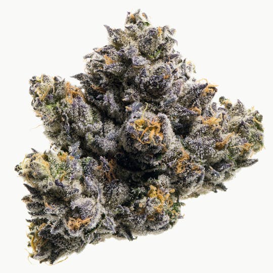 Fig Farms - Azulcar - 1