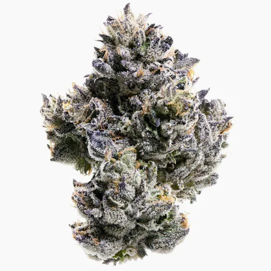 Fig Farms - Fig Farms | Sherbanger F2 | Big Buds - 1