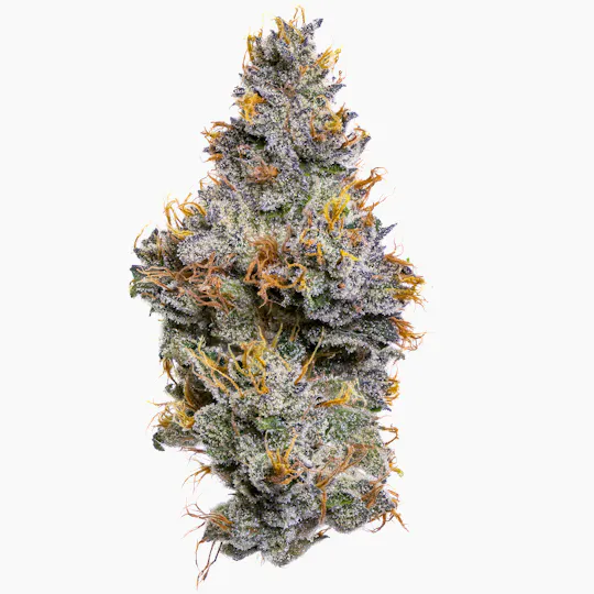 Fig Farms - Fig Farms | Sherbanger F2 | Big Buds - 1