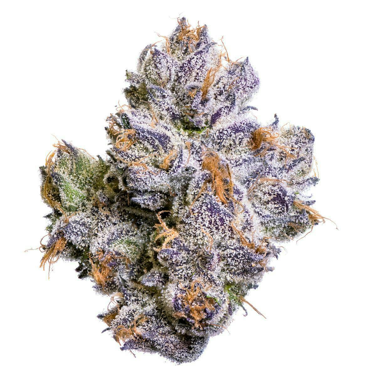 Fig Farms - Fig Farms | Whole Fruits | Big Buds - 1