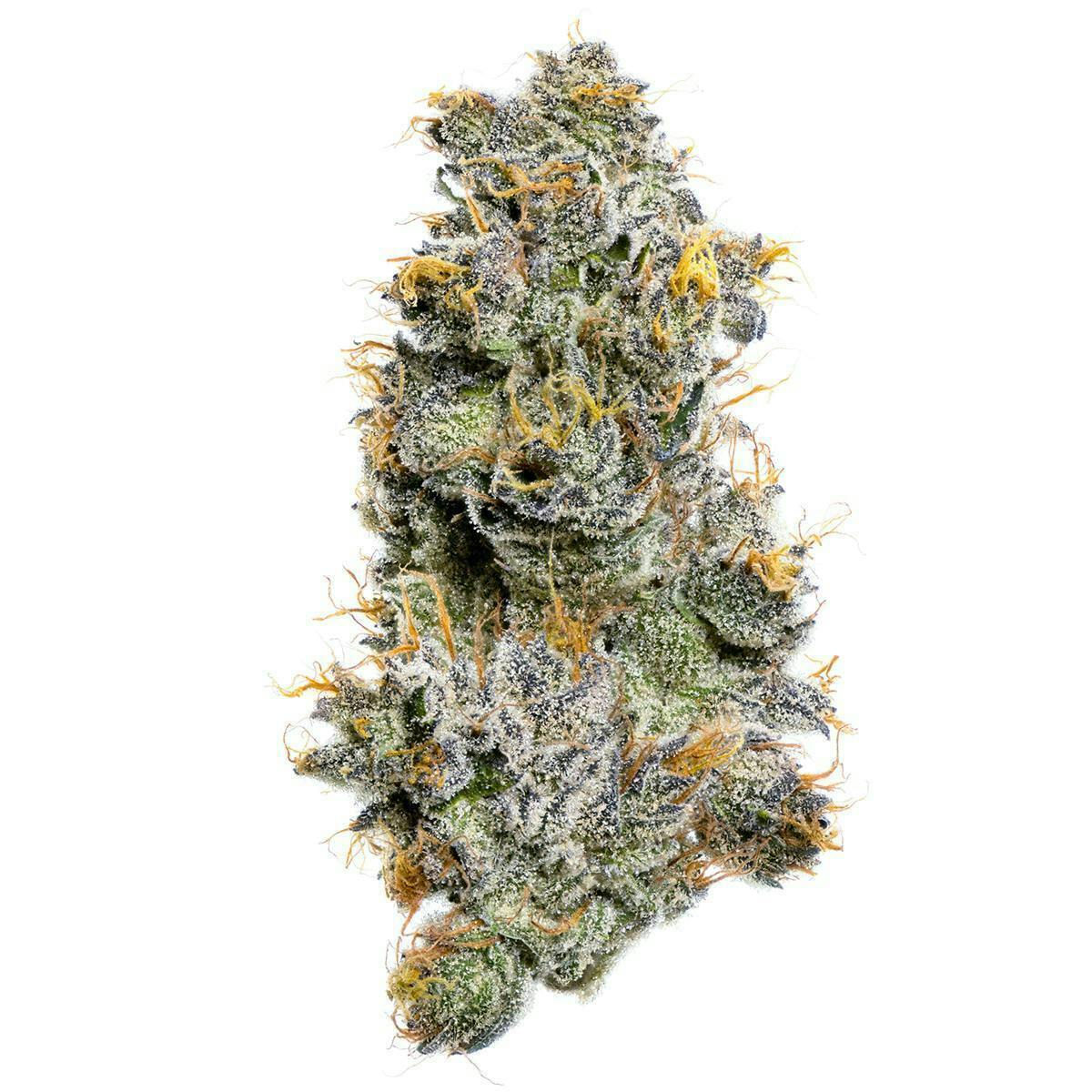 Fig Farms - Fig Farms | Whole Fruits | Big Buds - 1
