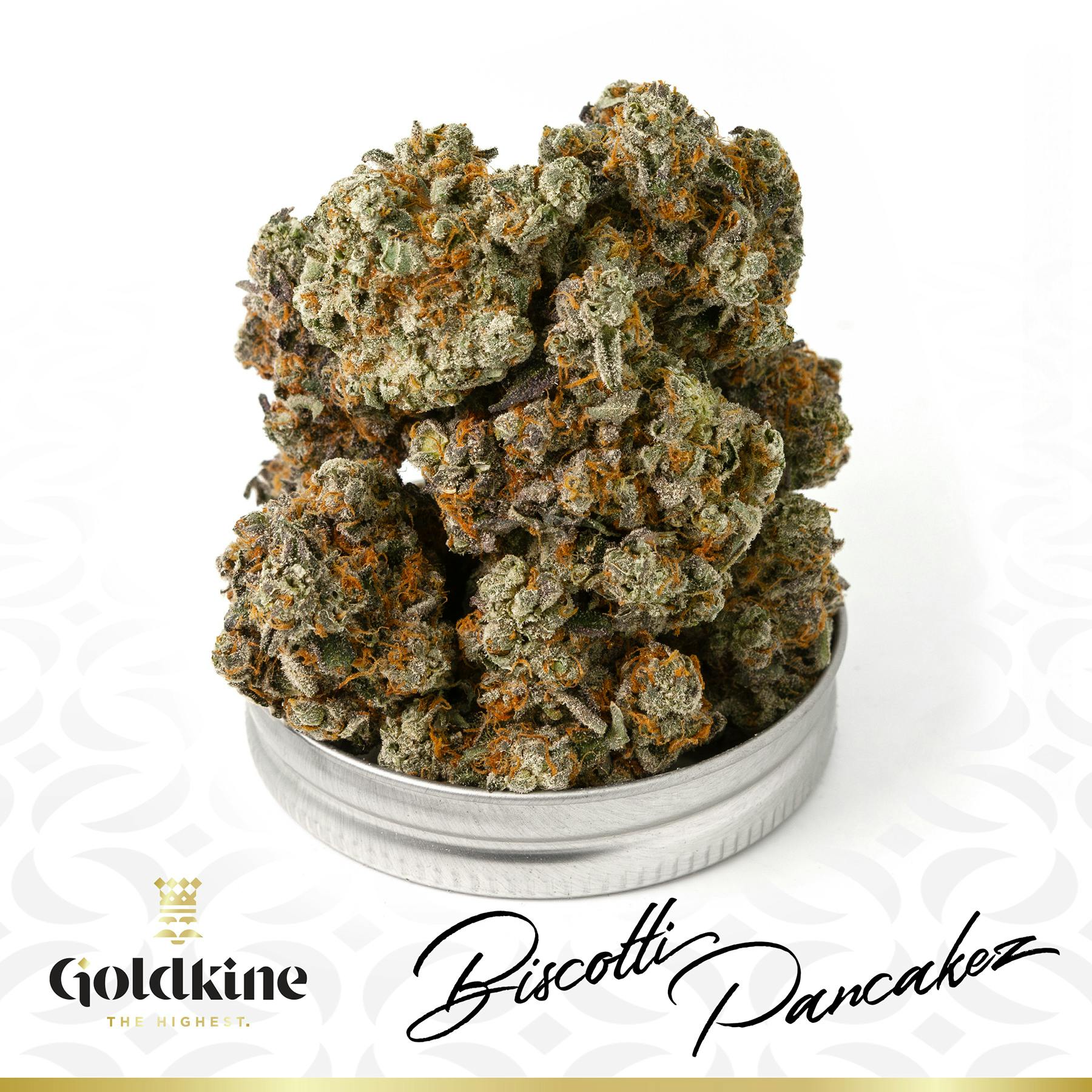 Goldkine - Goldkine Flower "Bigs" | Biscotti Pancakez - 1